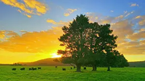 Silhouettes Prints: Landscape near Fox Glacier, South Island, New Zealand