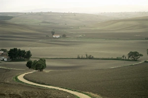 Landscape near Larino