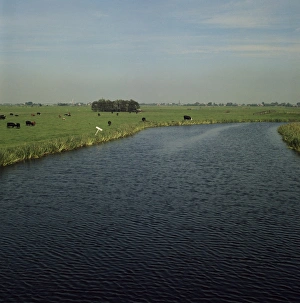 Leiden Prints: Landscape near Leiden