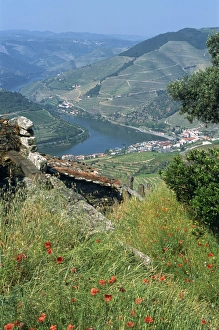 Landscape near Pinhao