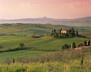 San Quirico Dorcia Prints: Landscape near San Quirico d Orcia