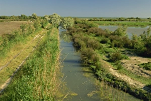 Camargue Prints: Landscape near St. Marie de la Mer, Camargue, Provence, France, Europe