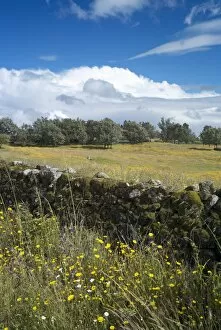 Images Dated 9th May 2010: Landscape near Villanueva de la Vera, La Vera, Extremadura, Spain, Europe