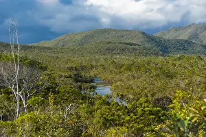 New Caledonia Prints: Landscape near the waterfalls Chutes de la Madeleine on the south coast of Grande Terre