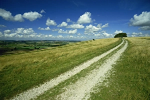 Wiltshire Prints: Landscape near Win Green, Shaftesbury, Wiltshire, England, United Kingdom, Europe