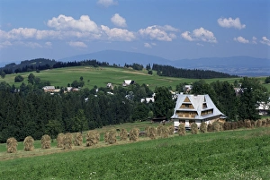 Zakopane Prints: Landscape near Zakopane