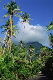 Palm Prints: Landscape, Nevis