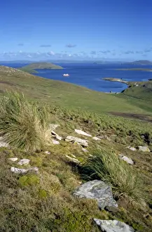 New Island Prints: Landscape on New Island looking down to settlement and tourist ship in the bay