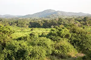 Dense Prints: Landscape overview, Hurulu Eco Park biosphere reserve