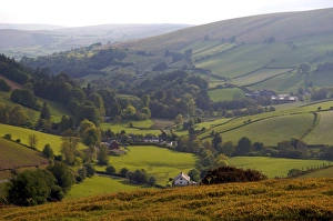 Landscape in Powys, Wales, United Kingdom, Europe