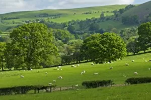 Images Dated 31st May 2010: Landscape in Powys, Wales, United Kingdom, Europe