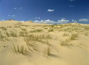 Charente Maritime Prints: Landscape of sand and grass at Pointe de la Coubre near Royan in the Charente-Maritime