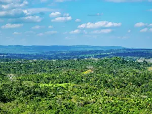 Landscape seen from Xunantunich Archaeological Site, Cayo District, Belize