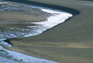 New Brunswick Prints: Landscape shaped by the biggest tides in the world, Kouchibouguac National Park