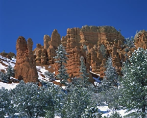 Rock Cliff Prints: Landscape with trees and cliffs of red rock formations in the snow