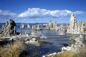 Mono Lake Prints: Landscape of tufa formations at Mono Lake
