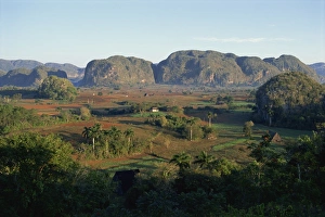 Vinales Prints: Landscape view of fields and trees in valley, with hills beyond, Vinales Valley