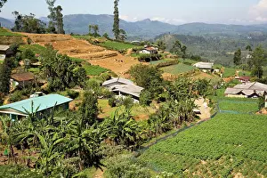 Growing Prints: Landscape view of intensively cultivated valley sides