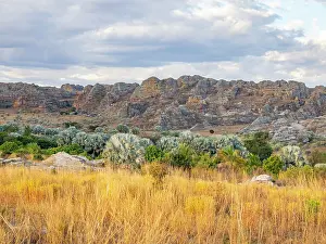 Savanna Prints: Landscape view of Zombitse-Vohibasia National Park featuring rock formations and vegetation in Madagascar at sunset