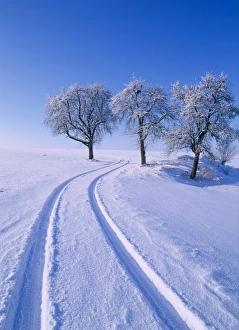 Season Prints: Landscape in winter