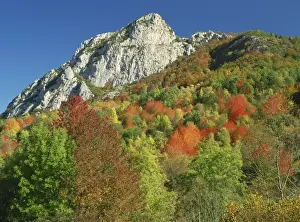 Landscape with woodland of trees in autumn colours and rocky peak beyond