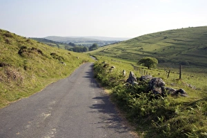 Lane Prints: Lane, Challacombe, Dartmoor, Devon, England, United Kingdom, Europe