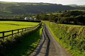 Images Dated 24th September 2009: Lane, North Exmoor, Devon, England, United Kingdom, Europe