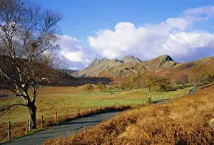 Langdale Pikes from Blea Tarn, Lake District National Park, Cumbria, England, UK