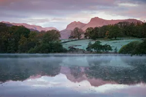 Calmness Prints: Langdale Pikes at dawn from Loughrigg Tarn, Lake District, Cumbria, England, United