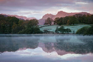 Rural Scenes Gallery: Langdale Pikes at dawn from Loughrigg Tarn, Lake District, Cumbria, England, United