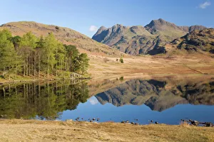 The Langdale Pikes reflected in Blea Tarn, above Little Langdale, Lake District National Park, Cumbria, England, United Kingdom, Europe