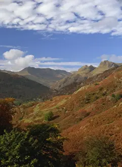 Langdale valley and Pikes with Bowfell and Crinkle Crags beyond, Elterwater