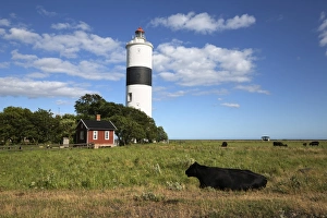 Lying On Front Prints: Lange Jan lighthouse, Ottenby, Southern Oland, Oland, Baltic coast, Southeast Sweden