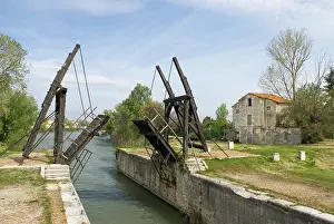 Arles Prints: Langlois Bridge in Arles shows its iron structure over a waterway surrounded by green trees