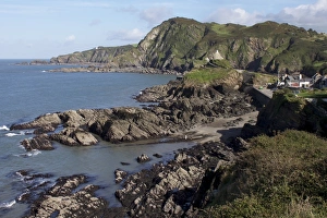 Ilfracombe Prints: Lantern Hill and Beacon Point, Ilfracombe, Devon, England, United Kingdom, Europe