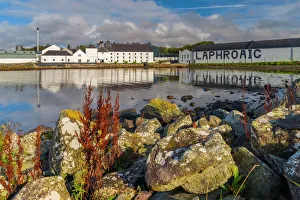 Trending: Laphroaig Whisky Distillery, Loch Laphroaig, Islay, Argyll and Bute, Scotland, United Kingdom