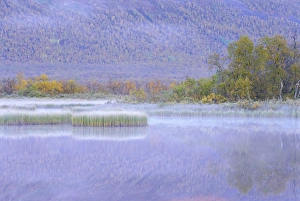 Haze Prints: Laponia World Heritage Site