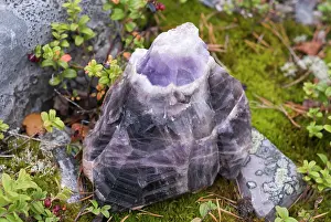 Finland Prints: Large amethyst sample found in the Lampivaara Hills of Pyha-Luosto National Park