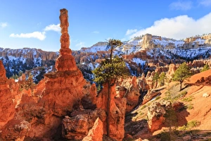 Hoodoo Prints: Large hoodoo lit by early morning sun