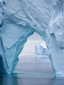 Polar Climate Prints: Large icebergs floating in the Bellingshausen Sea, Antarctica, Polar Regions
