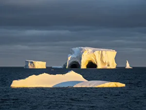 Large icebergs floating in the Bellingshausen Sea, Antarctica, Polar Regions