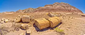 Large pieces of petrified wood on the west side of Red Basin in Petrified Forest National