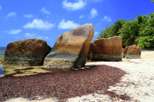 Boulders Prints: Large rocks and sandy beach under a clear blue sky at Anse Lazio in Seychelles with palm trees in the background
