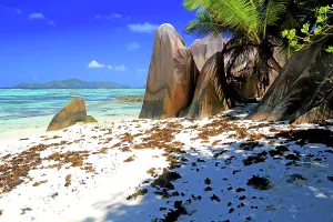 Paradise Prints: Large rocks and white sand under palm trees at a beach on La Digue