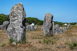 Large Prints: Large standing stones in a field with trees in the background in France during a clear day