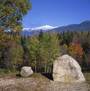 Large stone with plaque removed in forest during autumn
