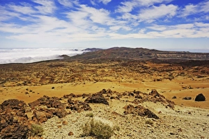 Parque Nacional Del Teide Prints: Las Canadas, Parque Nacional del Teide, Tenerife, Canary Islands, Spain, Atlantic, Europe