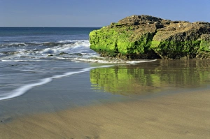 Images Dated 30th November 2007: Las Maspalomas, Gran Canaria, Canary Islands, Spain, Atlantic, Europe