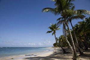 Las Terrenas, Samana Peninsula, Dominican Republic, West Indies, Caribbean