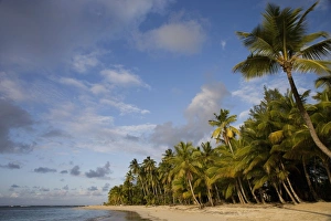 Las Terrenas, Samana Peninsula, Dominican Republic, West Indies, Caribbean